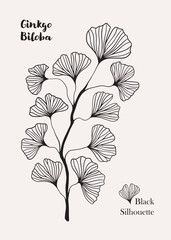 Floral hand drawn background. Botanical line art wallpaper with flowers. Hand drawn ginkgo biloba set, texture for banner, prints, wall art and home decor, wallpaper, decorative hand drawn flower