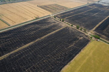 burn rice fields, aerial view from flying drone of Field rice, Forest fires