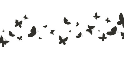 Plakat black and white butterflies