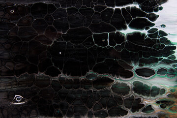 My fluid art acrylic paintings photographed