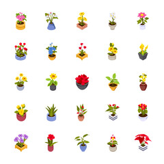 Home plants in flowerpot. Houseplants isolated. Trendy hugge style, urban jungle decor. Hand drawn. Set collection. Green, poster, banner. Logo, label, Icons, Illustration.