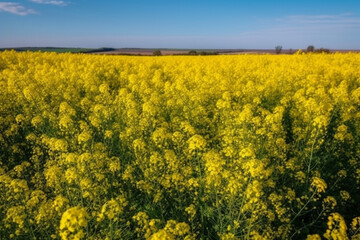 Obraz premium A stunning image of a vast field of bloomed colza against a clear blue sky, representing the beauty and vibrancy of nature. Ai generated.