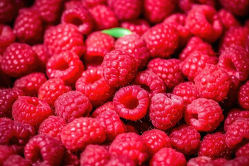 Fresh raspberries background closeup, raspberry texture, fruit summer backdrop for your design. The concept of a healthy diet, using raspberry ketones, superfood for a healthy diet