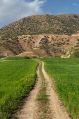 Grasslands of Do Polan, Chaharmahal and Bakhtiari, Iran