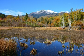 紅葉の乗鞍高原どじょう池