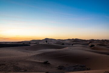 Fototapeta na wymiar Sahara magic