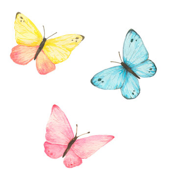 Watercolor illustration set of butterflies isolated