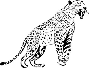 Leopard vector illustration | Furious Leopard illustration | Fastest animal vector illustration