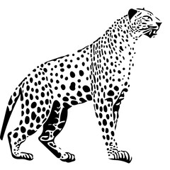 Leopard vector illustration | Leopard in front of a background | Digital illustration