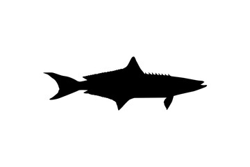 Fototapeta na wymiar Cobia Fish Silhouette, also known as black kingfish, black salmon, ling, lemonfish, crabeater, prodigal son, codfish, and black bonito. Vector Illustration