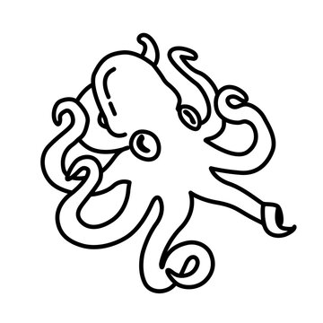 Octopus. Hand drawn squid engraved ocean animal. Octopus vector illustration. Squid octopus animal, marine seafood. Vector illustration in outline style