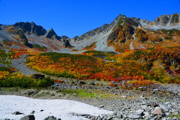 涸沢カールの紅葉と残雪