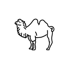Camel black line icon. Farm animals.