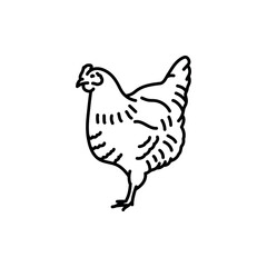 Fototapeta na wymiar Chicken black line icon. Farm animals.