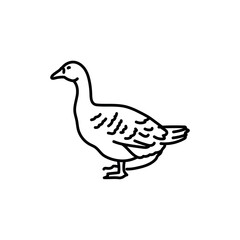Goose black line icon. Farm animals.