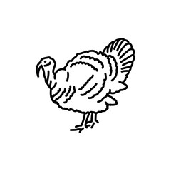 Turkey black line icon. Farm animals.