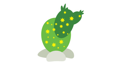 A small cute cactus that sits beautifully on top of a pot.