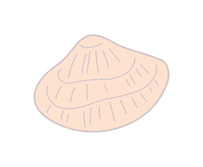 貝がらの手書き線画ベクターイラスト