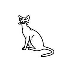 Oriental shorthair cat black line icon. Farm animals.