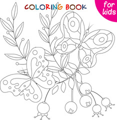 Butterflies collection. Butterflies fly on a background of leaves and berries. Coloring book