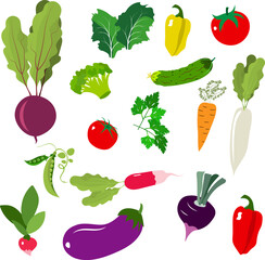 Farmer's market poster. Various fresh bright vegetables. Farmers market poster collection. Vector banner templates for local food fair.