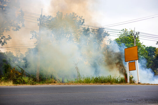 Views of burning grass and weeds on paved roads pollute clouds.