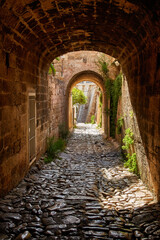Fototapeta premium Polignano al mare - scenic small town in Puglia