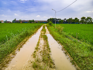 The last night's rainfall made the road muddy on the countryside. focus selective