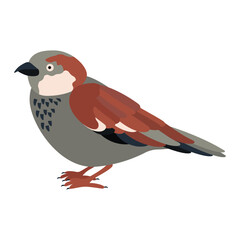 Cute, cartoon sparrow bird. Flat vector illustration.