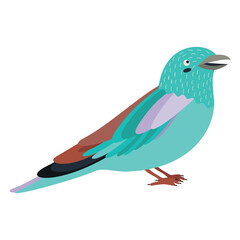 Cute, cartoon coracias garrulus bird. Flat vector illustration.