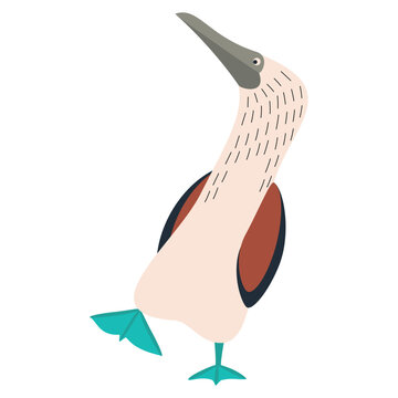 Cute, cartoon sula nebouxii bird. Flat vector illustration.