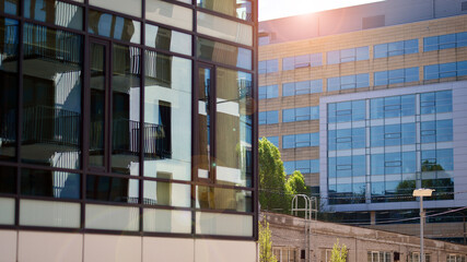 Green tree and glass office building. The harmony of nature and modernity. Fresh green trees and office building, business concept. Eco building in modern city concept.  