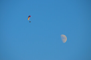 青空を飛び回るパラグライダーと月さま