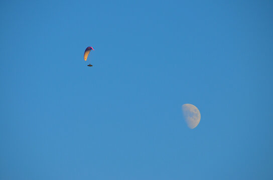 青空を飛び回るパラグライダーと月さま