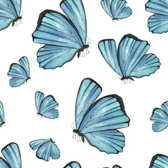 Seamless Pattern Blue butterfly on the white background 
