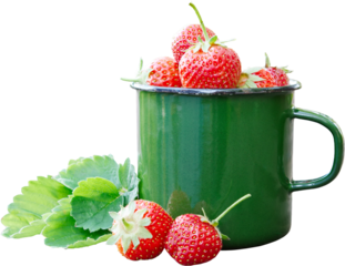 Enameled mug of strawberries and berries isolated.