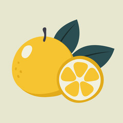 Vector illustration of orange and half of orange on a beige background. Hand-drawn fruits in bright colors. Suitable for illustrating healthy eating, recipes, local farm. Card with oranges