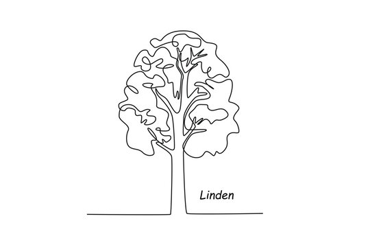 Single one line drawing linden tree . Tree concept. Continuous line draw design graphic vector illustration.