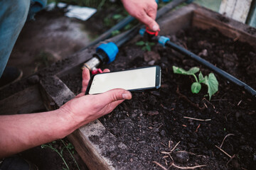 Man gardener control automatic watering system from smartphone in greenhouse