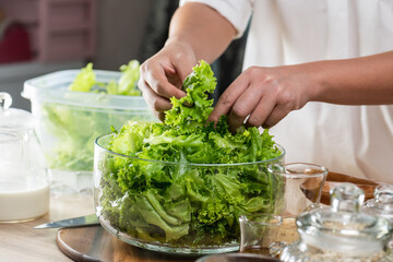 Hand chef mix fresh baby cos salad millet Crab Stick and pour salad dressing in wood blow. Organic Vegetables mix lunch with green salad In bowl. Breakfast fresh salad and clean vegetable