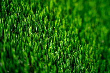 Background of artificial green grass at the showroom of a large store. 