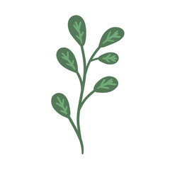 Peaceful Floral Leaf Element