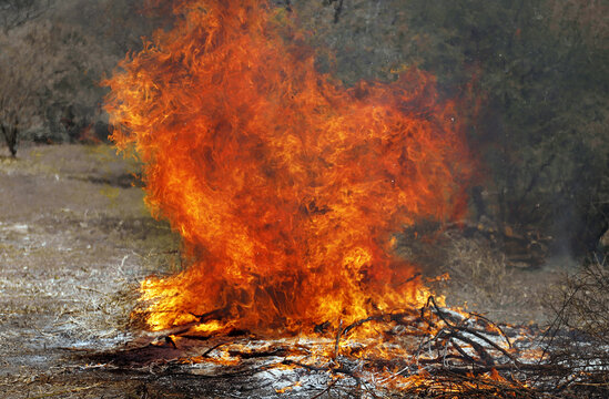 llamas de fuego controlado en el campo