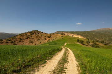 Fototapeta na wymiar Grasslands of Do Polan, Chaharmahal and Bakhtiari, Iran