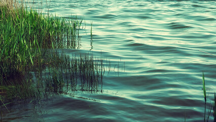 Water surface with ripples and sunlight reflections. Beautiful lakescape as a natural background