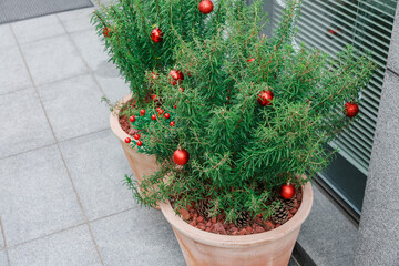 Red Christmas balls decorated in pots in front of a store.