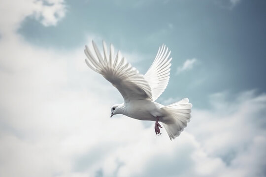  beautiful pigeon flying in the sky -
