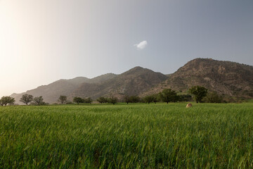 Grasslands of Ghaleh Sard, Dehdez, Khuzestan, Iran