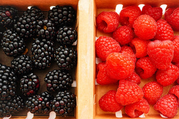 ラズベリーとブラックベリーのミックスベリー	
