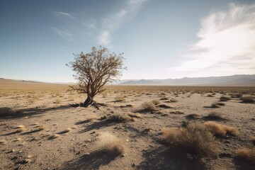 Gradually withering, expansive single tree grappling with harsh arid environment. Generative AI